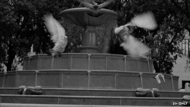 Film still from Cole Schwartz's portfolio